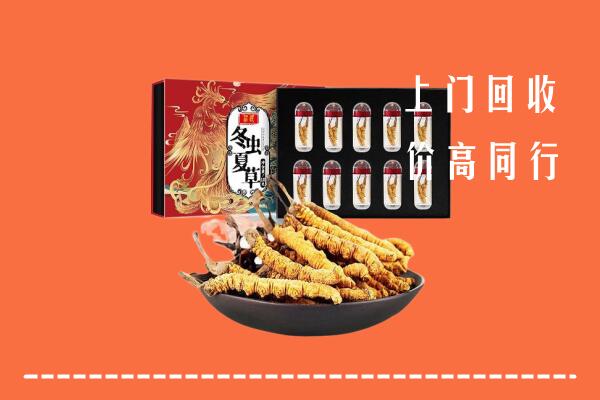 收购行情：太原回收虫草